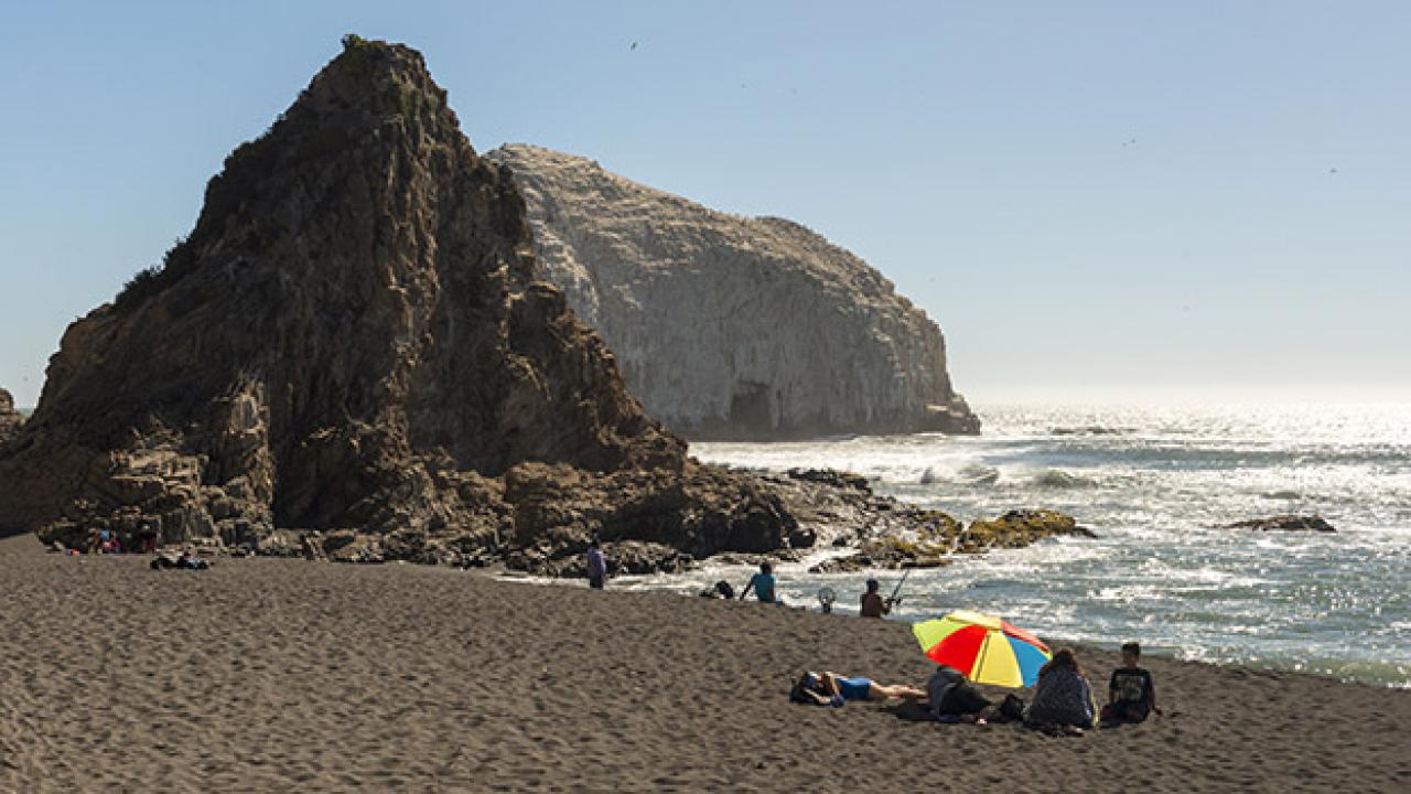 imagen generica de galeria