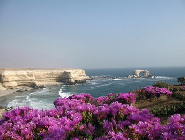 imagen de noticia pequeña